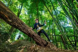 BIB: 
                            <button type="button" onclick="openModal(19070519)" class="btn btn-primary btn-sm float-right btn-popup" data-toggle="modal" data-target=".modal-high-quality">
                        <i class="fas fa-shopping-cart"></i> Add to Cart
                    </button>
                                            <button type="button" onclick="isThisMe(19070519, true)" class="btn btn-success btn-sm float-right btn-popup btn-isme hidden" data-toggle="tooltip" data-placement="bottom" title="นี่คือรูปของคุณใช่ไหม คลิกที่นี่เพื่อเอาเข้าอัลบั้ม">
                        <i class="fas fa-plus"></i> Add to album
                    </button>
                    <button type="button" onclick="isThisMe(19070519, false)" class="btn btn-warning btn-sm float-right btn-popup btn-isnotme hidden">
                        <i class="fas fa-ban"></i> Remove from album
                    </button>