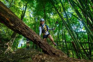 BIB: 
                            <button type="button" onclick="openModal(19068973)" class="btn btn-primary btn-sm float-right btn-popup" data-toggle="modal" data-target=".modal-high-quality">
                        <i class="fas fa-shopping-cart"></i> Add to Cart
                    </button>
                                            <button type="button" onclick="isThisMe(19068973, true)" class="btn btn-success btn-sm float-right btn-popup btn-isme hidden" data-toggle="tooltip" data-placement="bottom" title="นี่คือรูปของคุณใช่ไหม คลิกที่นี่เพื่อเอาเข้าอัลบั้ม">
                        <i class="fas fa-plus"></i> Add to album
                    </button>
                    <button type="button" onclick="isThisMe(19068973, false)" class="btn btn-warning btn-sm float-right btn-popup btn-isnotme hidden">
                        <i class="fas fa-ban"></i> Remove from album
                    </button>