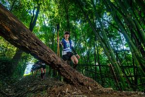 BIB: 
                            <button type="button" onclick="openModal(18997473)" class="btn btn-primary btn-sm float-right btn-popup" data-toggle="modal" data-target=".modal-high-quality">
                        <i class="fas fa-shopping-cart"></i> Add to Cart
                    </button>
                                            <button type="button" onclick="isThisMe(18997473, true)" class="btn btn-success btn-sm float-right btn-popup btn-isme hidden" data-toggle="tooltip" data-placement="bottom" title="นี่คือรูปของคุณใช่ไหม คลิกที่นี่เพื่อเอาเข้าอัลบั้ม">
                        <i class="fas fa-plus"></i> Add to album
                    </button>
                    <button type="button" onclick="isThisMe(18997473, false)" class="btn btn-warning btn-sm float-right btn-popup btn-isnotme hidden">
                        <i class="fas fa-ban"></i> Remove from album
                    </button>