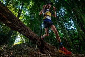 BIB: 
                            <button type="button" onclick="openModal(18988505)" class="btn btn-primary btn-sm float-right btn-popup" data-toggle="modal" data-target=".modal-high-quality">
                        <i class="fas fa-shopping-cart"></i> Add to Cart
                    </button>
                                            <button type="button" onclick="isThisMe(18988505, true)" class="btn btn-success btn-sm float-right btn-popup btn-isme hidden" data-toggle="tooltip" data-placement="bottom" title="นี่คือรูปของคุณใช่ไหม คลิกที่นี่เพื่อเอาเข้าอัลบั้ม">
                        <i class="fas fa-plus"></i> Add to album
                    </button>
                    <button type="button" onclick="isThisMe(18988505, false)" class="btn btn-warning btn-sm float-right btn-popup btn-isnotme hidden">
                        <i class="fas fa-ban"></i> Remove from album
                    </button>