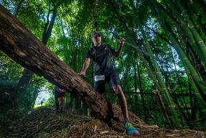 BIB: 270
                            <button type="button" onclick="openModal(18997013)" class="btn btn-primary btn-sm float-right btn-popup" data-toggle="modal" data-target=".modal-high-quality">
                        <i class="fas fa-shopping-cart"></i> Add to Cart
                    </button>
                                            <button type="button" onclick="isThisMe(18997013, true)" class="btn btn-success btn-sm float-right btn-popup btn-isme hidden" data-toggle="tooltip" data-placement="bottom" title="นี่คือรูปของคุณใช่ไหม คลิกที่นี่เพื่อเอาเข้าอัลบั้ม">
                        <i class="fas fa-plus"></i> Add to album
                    </button>
                    <button type="button" onclick="isThisMe(18997013, false)" class="btn btn-warning btn-sm float-right btn-popup btn-isnotme hidden">
                        <i class="fas fa-ban"></i> Remove from album
                    </button>