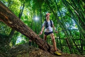 BIB: 2008, 2599
                            <button type="button" onclick="openModal(19057746)" class="btn btn-primary btn-sm float-right btn-popup" data-toggle="modal" data-target=".modal-high-quality">
                        <i class="fas fa-shopping-cart"></i> Add to Cart
                    </button>
                                            <button type="button" onclick="isThisMe(19057746, true)" class="btn btn-success btn-sm float-right btn-popup btn-isme hidden" data-toggle="tooltip" data-placement="bottom" title="นี่คือรูปของคุณใช่ไหม คลิกที่นี่เพื่อเอาเข้าอัลบั้ม">
                        <i class="fas fa-plus"></i> Add to album
                    </button>
                    <button type="button" onclick="isThisMe(19057746, false)" class="btn btn-warning btn-sm float-right btn-popup btn-isnotme hidden">
                        <i class="fas fa-ban"></i> Remove from album
                    </button>