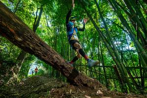 BIB: 
                            <button type="button" onclick="openModal(19068461)" class="btn btn-primary btn-sm float-right btn-popup" data-toggle="modal" data-target=".modal-high-quality">
                        <i class="fas fa-shopping-cart"></i> Add to Cart
                    </button>
                                            <button type="button" onclick="isThisMe(19068461, true)" class="btn btn-success btn-sm float-right btn-popup btn-isme hidden" data-toggle="tooltip" data-placement="bottom" title="นี่คือรูปของคุณใช่ไหม คลิกที่นี่เพื่อเอาเข้าอัลบั้ม">
                        <i class="fas fa-plus"></i> Add to album
                    </button>
                    <button type="button" onclick="isThisMe(19068461, false)" class="btn btn-warning btn-sm float-right btn-popup btn-isnotme hidden">
                        <i class="fas fa-ban"></i> Remove from album
                    </button>