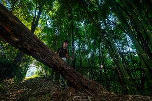 BIB: 
                            <button type="button" onclick="openModal(18989508)" class="btn btn-primary btn-sm float-right btn-popup" data-toggle="modal" data-target=".modal-high-quality">
                        <i class="fas fa-shopping-cart"></i> Add to Cart
                    </button>
                                            <button type="button" onclick="isThisMe(18989508, true)" class="btn btn-success btn-sm float-right btn-popup btn-isme hidden" data-toggle="tooltip" data-placement="bottom" title="นี่คือรูปของคุณใช่ไหม คลิกที่นี่เพื่อเอาเข้าอัลบั้ม">
                        <i class="fas fa-plus"></i> Add to album
                    </button>
                    <button type="button" onclick="isThisMe(18989508, false)" class="btn btn-warning btn-sm float-right btn-popup btn-isnotme hidden">
                        <i class="fas fa-ban"></i> Remove from album
                    </button>