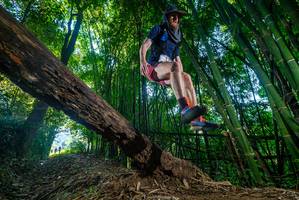 BIB: 
                            <button type="button" onclick="openModal(18990668)" class="btn btn-primary btn-sm float-right btn-popup" data-toggle="modal" data-target=".modal-high-quality">
                        <i class="fas fa-shopping-cart"></i> Add to Cart
                    </button>
                                            <button type="button" onclick="isThisMe(18990668, true)" class="btn btn-success btn-sm float-right btn-popup btn-isme hidden" data-toggle="tooltip" data-placement="bottom" title="นี่คือรูปของคุณใช่ไหม คลิกที่นี่เพื่อเอาเข้าอัลบั้ม">
                        <i class="fas fa-plus"></i> Add to album
                    </button>
                    <button type="button" onclick="isThisMe(18990668, false)" class="btn btn-warning btn-sm float-right btn-popup btn-isnotme hidden">
                        <i class="fas fa-ban"></i> Remove from album
                    </button>