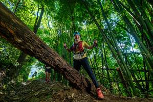 BIB: 2309
                            <button type="button" onclick="openModal(19064887)" class="btn btn-primary btn-sm float-right btn-popup" data-toggle="modal" data-target=".modal-high-quality">
                        <i class="fas fa-shopping-cart"></i> Add to Cart
                    </button>
                                            <button type="button" onclick="isThisMe(19064887, true)" class="btn btn-success btn-sm float-right btn-popup btn-isme hidden" data-toggle="tooltip" data-placement="bottom" title="นี่คือรูปของคุณใช่ไหม คลิกที่นี่เพื่อเอาเข้าอัลบั้ม">
                        <i class="fas fa-plus"></i> Add to album
                    </button>
                    <button type="button" onclick="isThisMe(19064887, false)" class="btn btn-warning btn-sm float-right btn-popup btn-isnotme hidden">
                        <i class="fas fa-ban"></i> Remove from album
                    </button>