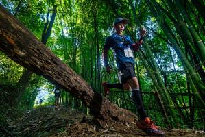 BIB: 
                            <button type="button" onclick="openModal(19000165)" class="btn btn-primary btn-sm float-right btn-popup" data-toggle="modal" data-target=".modal-high-quality">
                        <i class="fas fa-shopping-cart"></i> Add to Cart
                    </button>
                                            <button type="button" onclick="isThisMe(19000165, true)" class="btn btn-success btn-sm float-right btn-popup btn-isme hidden" data-toggle="tooltip" data-placement="bottom" title="นี่คือรูปของคุณใช่ไหม คลิกที่นี่เพื่อเอาเข้าอัลบั้ม">
                        <i class="fas fa-plus"></i> Add to album
                    </button>
                    <button type="button" onclick="isThisMe(19000165, false)" class="btn btn-warning btn-sm float-right btn-popup btn-isnotme hidden">
                        <i class="fas fa-ban"></i> Remove from album
                    </button>