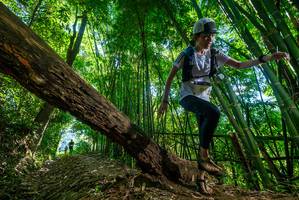 BIB: 
                            <button type="button" onclick="openModal(19068879)" class="btn btn-primary btn-sm float-right btn-popup" data-toggle="modal" data-target=".modal-high-quality">
                        <i class="fas fa-shopping-cart"></i> Add to Cart
                    </button>
                                            <button type="button" onclick="isThisMe(19068879, true)" class="btn btn-success btn-sm float-right btn-popup btn-isme hidden" data-toggle="tooltip" data-placement="bottom" title="นี่คือรูปของคุณใช่ไหม คลิกที่นี่เพื่อเอาเข้าอัลบั้ม">
                        <i class="fas fa-plus"></i> Add to album
                    </button>
                    <button type="button" onclick="isThisMe(19068879, false)" class="btn btn-warning btn-sm float-right btn-popup btn-isnotme hidden">
                        <i class="fas fa-ban"></i> Remove from album
                    </button>