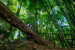 BIB: 
                            <button type="button" onclick="openModal(19064932)" class="btn btn-primary btn-sm float-right btn-popup" data-toggle="modal" data-target=".modal-high-quality">
                        <i class="fas fa-shopping-cart"></i> Add to Cart
                    </button>
                                            <button type="button" onclick="isThisMe(19064932, true)" class="btn btn-success btn-sm float-right btn-popup btn-isme hidden" data-toggle="tooltip" data-placement="bottom" title="นี่คือรูปของคุณใช่ไหม คลิกที่นี่เพื่อเอาเข้าอัลบั้ม">
                        <i class="fas fa-plus"></i> Add to album
                    </button>
                    <button type="button" onclick="isThisMe(19064932, false)" class="btn btn-warning btn-sm float-right btn-popup btn-isnotme hidden">
                        <i class="fas fa-ban"></i> Remove from album
                    </button>