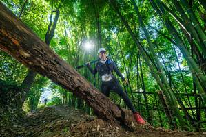 BIB: 
                            <button type="button" onclick="openModal(19057109)" class="btn btn-primary btn-sm float-right btn-popup" data-toggle="modal" data-target=".modal-high-quality">
                        <i class="fas fa-shopping-cart"></i> Add to Cart
                    </button>
                                            <button type="button" onclick="isThisMe(19057109, true)" class="btn btn-success btn-sm float-right btn-popup btn-isme hidden" data-toggle="tooltip" data-placement="bottom" title="นี่คือรูปของคุณใช่ไหม คลิกที่นี่เพื่อเอาเข้าอัลบั้ม">
                        <i class="fas fa-plus"></i> Add to album
                    </button>
                    <button type="button" onclick="isThisMe(19057109, false)" class="btn btn-warning btn-sm float-right btn-popup btn-isnotme hidden">
                        <i class="fas fa-ban"></i> Remove from album
                    </button>