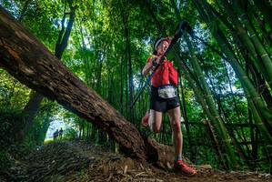 BIB: 2135
                            <button type="button" onclick="openModal(18997439)" class="btn btn-primary btn-sm float-right btn-popup" data-toggle="modal" data-target=".modal-high-quality">
                        <i class="fas fa-shopping-cart"></i> Add to Cart
                    </button>
                                            <button type="button" onclick="isThisMe(18997439, true)" class="btn btn-success btn-sm float-right btn-popup btn-isme hidden" data-toggle="tooltip" data-placement="bottom" title="นี่คือรูปของคุณใช่ไหม คลิกที่นี่เพื่อเอาเข้าอัลบั้ม">
                        <i class="fas fa-plus"></i> Add to album
                    </button>
                    <button type="button" onclick="isThisMe(18997439, false)" class="btn btn-warning btn-sm float-right btn-popup btn-isnotme hidden">
                        <i class="fas fa-ban"></i> Remove from album
                    </button>