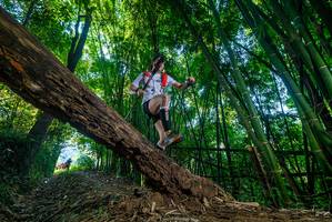 BIB: 
                            <button type="button" onclick="openModal(18998229)" class="btn btn-primary btn-sm float-right btn-popup" data-toggle="modal" data-target=".modal-high-quality">
                        <i class="fas fa-shopping-cart"></i> Add to Cart
                    </button>
                                            <button type="button" onclick="isThisMe(18998229, true)" class="btn btn-success btn-sm float-right btn-popup btn-isme hidden" data-toggle="tooltip" data-placement="bottom" title="นี่คือรูปของคุณใช่ไหม คลิกที่นี่เพื่อเอาเข้าอัลบั้ม">
                        <i class="fas fa-plus"></i> Add to album
                    </button>
                    <button type="button" onclick="isThisMe(18998229, false)" class="btn btn-warning btn-sm float-right btn-popup btn-isnotme hidden">
                        <i class="fas fa-ban"></i> Remove from album
                    </button>