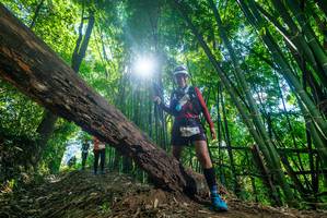 BIB: 
                            <button type="button" onclick="openModal(19063865)" class="btn btn-primary btn-sm float-right btn-popup" data-toggle="modal" data-target=".modal-high-quality">
                        <i class="fas fa-shopping-cart"></i> Add to Cart
                    </button>
                                            <button type="button" onclick="isThisMe(19063865, true)" class="btn btn-success btn-sm float-right btn-popup btn-isme hidden" data-toggle="tooltip" data-placement="bottom" title="นี่คือรูปของคุณใช่ไหม คลิกที่นี่เพื่อเอาเข้าอัลบั้ม">
                        <i class="fas fa-plus"></i> Add to album
                    </button>
                    <button type="button" onclick="isThisMe(19063865, false)" class="btn btn-warning btn-sm float-right btn-popup btn-isnotme hidden">
                        <i class="fas fa-ban"></i> Remove from album
                    </button>