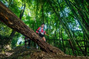 BIB: 
                            <button type="button" onclick="openModal(19046723)" class="btn btn-primary btn-sm float-right btn-popup" data-toggle="modal" data-target=".modal-high-quality">
                        <i class="fas fa-shopping-cart"></i> Add to Cart
                    </button>
                                            <button type="button" onclick="isThisMe(19046723, true)" class="btn btn-success btn-sm float-right btn-popup btn-isme hidden" data-toggle="tooltip" data-placement="bottom" title="นี่คือรูปของคุณใช่ไหม คลิกที่นี่เพื่อเอาเข้าอัลบั้ม">
                        <i class="fas fa-plus"></i> Add to album
                    </button>
                    <button type="button" onclick="isThisMe(19046723, false)" class="btn btn-warning btn-sm float-right btn-popup btn-isnotme hidden">
                        <i class="fas fa-ban"></i> Remove from album
                    </button>