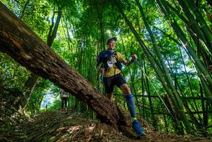 BIB: 
                            <button type="button" onclick="openModal(19069673)" class="btn btn-primary btn-sm float-right btn-popup" data-toggle="modal" data-target=".modal-high-quality">
                        <i class="fas fa-shopping-cart"></i> Add to Cart
                    </button>
                                            <button type="button" onclick="isThisMe(19069673, true)" class="btn btn-success btn-sm float-right btn-popup btn-isme hidden" data-toggle="tooltip" data-placement="bottom" title="นี่คือรูปของคุณใช่ไหม คลิกที่นี่เพื่อเอาเข้าอัลบั้ม">
                        <i class="fas fa-plus"></i> Add to album
                    </button>
                    <button type="button" onclick="isThisMe(19069673, false)" class="btn btn-warning btn-sm float-right btn-popup btn-isnotme hidden">
                        <i class="fas fa-ban"></i> Remove from album
                    </button>