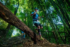 BIB: 
                            <button type="button" onclick="openModal(18989639)" class="btn btn-primary btn-sm float-right btn-popup" data-toggle="modal" data-target=".modal-high-quality">
                        <i class="fas fa-shopping-cart"></i> Add to Cart
                    </button>
                                            <button type="button" onclick="isThisMe(18989639, true)" class="btn btn-success btn-sm float-right btn-popup btn-isme hidden" data-toggle="tooltip" data-placement="bottom" title="นี่คือรูปของคุณใช่ไหม คลิกที่นี่เพื่อเอาเข้าอัลบั้ม">
                        <i class="fas fa-plus"></i> Add to album
                    </button>
                    <button type="button" onclick="isThisMe(18989639, false)" class="btn btn-warning btn-sm float-right btn-popup btn-isnotme hidden">
                        <i class="fas fa-ban"></i> Remove from album
                    </button>