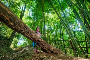 BIB: 
                            <button type="button" onclick="openModal(19071835)" class="btn btn-primary btn-sm float-right btn-popup" data-toggle="modal" data-target=".modal-high-quality">
                        <i class="fas fa-shopping-cart"></i> Add to Cart
                    </button>
                                            <button type="button" onclick="isThisMe(19071835, true)" class="btn btn-success btn-sm float-right btn-popup btn-isme hidden" data-toggle="tooltip" data-placement="bottom" title="นี่คือรูปของคุณใช่ไหม คลิกที่นี่เพื่อเอาเข้าอัลบั้ม">
                        <i class="fas fa-plus"></i> Add to album
                    </button>
                    <button type="button" onclick="isThisMe(19071835, false)" class="btn btn-warning btn-sm float-right btn-popup btn-isnotme hidden">
                        <i class="fas fa-ban"></i> Remove from album
                    </button>