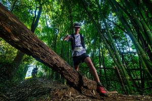 BIB: 2679
                            <button type="button" onclick="openModal(18993752)" class="btn btn-primary btn-sm float-right btn-popup" data-toggle="modal" data-target=".modal-high-quality">
                        <i class="fas fa-shopping-cart"></i> Add to Cart
                    </button>
                                            <button type="button" onclick="isThisMe(18993752, true)" class="btn btn-success btn-sm float-right btn-popup btn-isme hidden" data-toggle="tooltip" data-placement="bottom" title="นี่คือรูปของคุณใช่ไหม คลิกที่นี่เพื่อเอาเข้าอัลบั้ม">
                        <i class="fas fa-plus"></i> Add to album
                    </button>
                    <button type="button" onclick="isThisMe(18993752, false)" class="btn btn-warning btn-sm float-right btn-popup btn-isnotme hidden">
                        <i class="fas fa-ban"></i> Remove from album
                    </button>