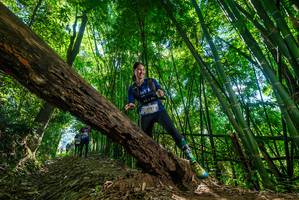 BIB: 2643
                            <button type="button" onclick="openModal(19068143)" class="btn btn-primary btn-sm float-right btn-popup" data-toggle="modal" data-target=".modal-high-quality">
                        <i class="fas fa-shopping-cart"></i> Add to Cart
                    </button>
                                            <button type="button" onclick="isThisMe(19068143, true)" class="btn btn-success btn-sm float-right btn-popup btn-isme hidden" data-toggle="tooltip" data-placement="bottom" title="นี่คือรูปของคุณใช่ไหม คลิกที่นี่เพื่อเอาเข้าอัลบั้ม">
                        <i class="fas fa-plus"></i> Add to album
                    </button>
                    <button type="button" onclick="isThisMe(19068143, false)" class="btn btn-warning btn-sm float-right btn-popup btn-isnotme hidden">
                        <i class="fas fa-ban"></i> Remove from album
                    </button>