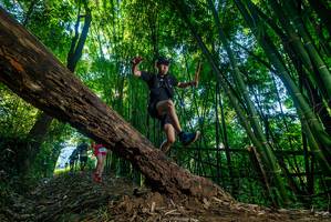 BIB: 
                            <button type="button" onclick="openModal(18989291)" class="btn btn-primary btn-sm float-right btn-popup" data-toggle="modal" data-target=".modal-high-quality">
                        <i class="fas fa-shopping-cart"></i> Add to Cart
                    </button>
                                            <button type="button" onclick="isThisMe(18989291, true)" class="btn btn-success btn-sm float-right btn-popup btn-isme hidden" data-toggle="tooltip" data-placement="bottom" title="นี่คือรูปของคุณใช่ไหม คลิกที่นี่เพื่อเอาเข้าอัลบั้ม">
                        <i class="fas fa-plus"></i> Add to album
                    </button>
                    <button type="button" onclick="isThisMe(18989291, false)" class="btn btn-warning btn-sm float-right btn-popup btn-isnotme hidden">
                        <i class="fas fa-ban"></i> Remove from album
                    </button>