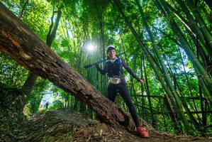 BIB: 
                            <button type="button" onclick="openModal(19057113)" class="btn btn-primary btn-sm float-right btn-popup" data-toggle="modal" data-target=".modal-high-quality">
                        <i class="fas fa-shopping-cart"></i> Add to Cart
                    </button>
                                            <button type="button" onclick="isThisMe(19057113, true)" class="btn btn-success btn-sm float-right btn-popup btn-isme hidden" data-toggle="tooltip" data-placement="bottom" title="นี่คือรูปของคุณใช่ไหม คลิกที่นี่เพื่อเอาเข้าอัลบั้ม">
                        <i class="fas fa-plus"></i> Add to album
                    </button>
                    <button type="button" onclick="isThisMe(19057113, false)" class="btn btn-warning btn-sm float-right btn-popup btn-isnotme hidden">
                        <i class="fas fa-ban"></i> Remove from album
                    </button>