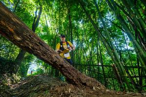 BIB: 2012
                            <button type="button" onclick="openModal(19055028)" class="btn btn-primary btn-sm float-right btn-popup" data-toggle="modal" data-target=".modal-high-quality">
                        <i class="fas fa-shopping-cart"></i> Add to Cart
                    </button>
                                            <button type="button" onclick="isThisMe(19055028, true)" class="btn btn-success btn-sm float-right btn-popup btn-isme hidden" data-toggle="tooltip" data-placement="bottom" title="นี่คือรูปของคุณใช่ไหม คลิกที่นี่เพื่อเอาเข้าอัลบั้ม">
                        <i class="fas fa-plus"></i> Add to album
                    </button>
                    <button type="button" onclick="isThisMe(19055028, false)" class="btn btn-warning btn-sm float-right btn-popup btn-isnotme hidden">
                        <i class="fas fa-ban"></i> Remove from album
                    </button>