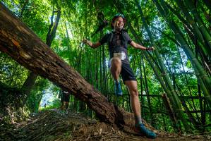 BIB: 
                            <button type="button" onclick="openModal(19055278)" class="btn btn-primary btn-sm float-right btn-popup" data-toggle="modal" data-target=".modal-high-quality">
                        <i class="fas fa-shopping-cart"></i> Add to Cart
                    </button>
                                            <button type="button" onclick="isThisMe(19055278, true)" class="btn btn-success btn-sm float-right btn-popup btn-isme hidden" data-toggle="tooltip" data-placement="bottom" title="นี่คือรูปของคุณใช่ไหม คลิกที่นี่เพื่อเอาเข้าอัลบั้ม">
                        <i class="fas fa-plus"></i> Add to album
                    </button>
                    <button type="button" onclick="isThisMe(19055278, false)" class="btn btn-warning btn-sm float-right btn-popup btn-isnotme hidden">
                        <i class="fas fa-ban"></i> Remove from album
                    </button>