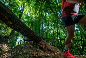 BIB: 2510
                            <button type="button" onclick="openModal(19001341)" class="btn btn-primary btn-sm float-right btn-popup" data-toggle="modal" data-target=".modal-high-quality">
                        <i class="fas fa-shopping-cart"></i> Add to Cart
                    </button>
                                            <button type="button" onclick="isThisMe(19001341, true)" class="btn btn-success btn-sm float-right btn-popup btn-isme hidden" data-toggle="tooltip" data-placement="bottom" title="นี่คือรูปของคุณใช่ไหม คลิกที่นี่เพื่อเอาเข้าอัลบั้ม">
                        <i class="fas fa-plus"></i> Add to album
                    </button>
                    <button type="button" onclick="isThisMe(19001341, false)" class="btn btn-warning btn-sm float-right btn-popup btn-isnotme hidden">
                        <i class="fas fa-ban"></i> Remove from album
                    </button>