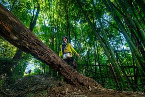 BIB: 2014
                            <button type="button" onclick="openModal(18993326)" class="btn btn-primary btn-sm float-right btn-popup" data-toggle="modal" data-target=".modal-high-quality">
                        <i class="fas fa-shopping-cart"></i> Add to Cart
                    </button>
                                            <button type="button" onclick="isThisMe(18993326, true)" class="btn btn-success btn-sm float-right btn-popup btn-isme hidden" data-toggle="tooltip" data-placement="bottom" title="นี่คือรูปของคุณใช่ไหม คลิกที่นี่เพื่อเอาเข้าอัลบั้ม">
                        <i class="fas fa-plus"></i> Add to album
                    </button>
                    <button type="button" onclick="isThisMe(18993326, false)" class="btn btn-warning btn-sm float-right btn-popup btn-isnotme hidden">
                        <i class="fas fa-ban"></i> Remove from album
                    </button>