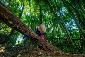 BIB: 
                            <button type="button" onclick="openModal(18997992)" class="btn btn-primary btn-sm float-right btn-popup" data-toggle="modal" data-target=".modal-high-quality">
                        <i class="fas fa-shopping-cart"></i> Add to Cart
                    </button>
                                            <button type="button" onclick="isThisMe(18997992, true)" class="btn btn-success btn-sm float-right btn-popup btn-isme hidden" data-toggle="tooltip" data-placement="bottom" title="นี่คือรูปของคุณใช่ไหม คลิกที่นี่เพื่อเอาเข้าอัลบั้ม">
                        <i class="fas fa-plus"></i> Add to album
                    </button>
                    <button type="button" onclick="isThisMe(18997992, false)" class="btn btn-warning btn-sm float-right btn-popup btn-isnotme hidden">
                        <i class="fas fa-ban"></i> Remove from album
                    </button>