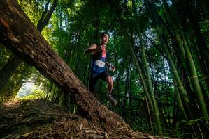 BIB: 129
                            <button type="button" onclick="openModal(18986409)" class="btn btn-primary btn-sm float-right btn-popup" data-toggle="modal" data-target=".modal-high-quality">
                        <i class="fas fa-shopping-cart"></i> Add to Cart
                    </button>
                                            <button type="button" onclick="isThisMe(18986409, true)" class="btn btn-success btn-sm float-right btn-popup btn-isme hidden" data-toggle="tooltip" data-placement="bottom" title="นี่คือรูปของคุณใช่ไหม คลิกที่นี่เพื่อเอาเข้าอัลบั้ม">
                        <i class="fas fa-plus"></i> Add to album
                    </button>
                    <button type="button" onclick="isThisMe(18986409, false)" class="btn btn-warning btn-sm float-right btn-popup btn-isnotme hidden">
                        <i class="fas fa-ban"></i> Remove from album
                    </button>