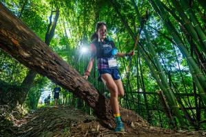 BIB: 
                            <button type="button" onclick="openModal(19054770)" class="btn btn-primary btn-sm float-right btn-popup" data-toggle="modal" data-target=".modal-high-quality">
                        <i class="fas fa-shopping-cart"></i> Add to Cart
                    </button>
                                            <button type="button" onclick="isThisMe(19054770, true)" class="btn btn-success btn-sm float-right btn-popup btn-isme hidden" data-toggle="tooltip" data-placement="bottom" title="นี่คือรูปของคุณใช่ไหม คลิกที่นี่เพื่อเอาเข้าอัลบั้ม">
                        <i class="fas fa-plus"></i> Add to album
                    </button>
                    <button type="button" onclick="isThisMe(19054770, false)" class="btn btn-warning btn-sm float-right btn-popup btn-isnotme hidden">
                        <i class="fas fa-ban"></i> Remove from album
                    </button>