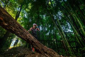 BIB: 
                            <button type="button" onclick="openModal(18987431)" class="btn btn-primary btn-sm float-right btn-popup" data-toggle="modal" data-target=".modal-high-quality">
                        <i class="fas fa-shopping-cart"></i> Add to Cart
                    </button>
                                            <button type="button" onclick="isThisMe(18987431, true)" class="btn btn-success btn-sm float-right btn-popup btn-isme hidden" data-toggle="tooltip" data-placement="bottom" title="นี่คือรูปของคุณใช่ไหม คลิกที่นี่เพื่อเอาเข้าอัลบั้ม">
                        <i class="fas fa-plus"></i> Add to album
                    </button>
                    <button type="button" onclick="isThisMe(18987431, false)" class="btn btn-warning btn-sm float-right btn-popup btn-isnotme hidden">
                        <i class="fas fa-ban"></i> Remove from album
                    </button>