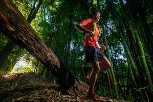 BIB: 
                            <button type="button" onclick="openModal(18986403)" class="btn btn-primary btn-sm float-right btn-popup" data-toggle="modal" data-target=".modal-high-quality">
                        <i class="fas fa-shopping-cart"></i> Add to Cart
                    </button>
                                            <button type="button" onclick="isThisMe(18986403, true)" class="btn btn-success btn-sm float-right btn-popup btn-isme hidden" data-toggle="tooltip" data-placement="bottom" title="นี่คือรูปของคุณใช่ไหม คลิกที่นี่เพื่อเอาเข้าอัลบั้ม">
                        <i class="fas fa-plus"></i> Add to album
                    </button>
                    <button type="button" onclick="isThisMe(18986403, false)" class="btn btn-warning btn-sm float-right btn-popup btn-isnotme hidden">
                        <i class="fas fa-ban"></i> Remove from album
                    </button>