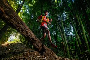 BIB: 
                            <button type="button" onclick="openModal(18986338)" class="btn btn-primary btn-sm float-right btn-popup" data-toggle="modal" data-target=".modal-high-quality">
                        <i class="fas fa-shopping-cart"></i> Add to Cart
                    </button>
                                            <button type="button" onclick="isThisMe(18986338, true)" class="btn btn-success btn-sm float-right btn-popup btn-isme hidden" data-toggle="tooltip" data-placement="bottom" title="นี่คือรูปของคุณใช่ไหม คลิกที่นี่เพื่อเอาเข้าอัลบั้ม">
                        <i class="fas fa-plus"></i> Add to album
                    </button>
                    <button type="button" onclick="isThisMe(18986338, false)" class="btn btn-warning btn-sm float-right btn-popup btn-isnotme hidden">
                        <i class="fas fa-ban"></i> Remove from album
                    </button>