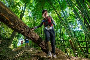 BIB: 
                            <button type="button" onclick="openModal(19071599)" class="btn btn-primary btn-sm float-right btn-popup" data-toggle="modal" data-target=".modal-high-quality">
                        <i class="fas fa-shopping-cart"></i> Add to Cart
                    </button>
                                            <button type="button" onclick="isThisMe(19071599, true)" class="btn btn-success btn-sm float-right btn-popup btn-isme hidden" data-toggle="tooltip" data-placement="bottom" title="นี่คือรูปของคุณใช่ไหม คลิกที่นี่เพื่อเอาเข้าอัลบั้ม">
                        <i class="fas fa-plus"></i> Add to album
                    </button>
                    <button type="button" onclick="isThisMe(19071599, false)" class="btn btn-warning btn-sm float-right btn-popup btn-isnotme hidden">
                        <i class="fas fa-ban"></i> Remove from album
                    </button>