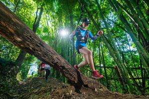 BIB: 
                            <button type="button" onclick="openModal(19056962)" class="btn btn-primary btn-sm float-right btn-popup" data-toggle="modal" data-target=".modal-high-quality">
                        <i class="fas fa-shopping-cart"></i> Add to Cart
                    </button>
                                            <button type="button" onclick="isThisMe(19056962, true)" class="btn btn-success btn-sm float-right btn-popup btn-isme hidden" data-toggle="tooltip" data-placement="bottom" title="นี่คือรูปของคุณใช่ไหม คลิกที่นี่เพื่อเอาเข้าอัลบั้ม">
                        <i class="fas fa-plus"></i> Add to album
                    </button>
                    <button type="button" onclick="isThisMe(19056962, false)" class="btn btn-warning btn-sm float-right btn-popup btn-isnotme hidden">
                        <i class="fas fa-ban"></i> Remove from album
                    </button>