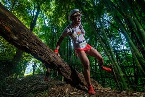 BIB: 2009
                            <button type="button" onclick="openModal(18994505)" class="btn btn-primary btn-sm float-right btn-popup" data-toggle="modal" data-target=".modal-high-quality">
                        <i class="fas fa-shopping-cart"></i> Add to Cart
                    </button>
                                            <button type="button" onclick="isThisMe(18994505, true)" class="btn btn-success btn-sm float-right btn-popup btn-isme hidden" data-toggle="tooltip" data-placement="bottom" title="นี่คือรูปของคุณใช่ไหม คลิกที่นี่เพื่อเอาเข้าอัลบั้ม">
                        <i class="fas fa-plus"></i> Add to album
                    </button>
                    <button type="button" onclick="isThisMe(18994505, false)" class="btn btn-warning btn-sm float-right btn-popup btn-isnotme hidden">
                        <i class="fas fa-ban"></i> Remove from album
                    </button>