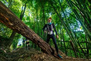 BIB: 
                            <button type="button" onclick="openModal(19062749)" class="btn btn-primary btn-sm float-right btn-popup" data-toggle="modal" data-target=".modal-high-quality">
                        <i class="fas fa-shopping-cart"></i> Add to Cart
                    </button>
                                            <button type="button" onclick="isThisMe(19062749, true)" class="btn btn-success btn-sm float-right btn-popup btn-isme hidden" data-toggle="tooltip" data-placement="bottom" title="นี่คือรูปของคุณใช่ไหม คลิกที่นี่เพื่อเอาเข้าอัลบั้ม">
                        <i class="fas fa-plus"></i> Add to album
                    </button>
                    <button type="button" onclick="isThisMe(19062749, false)" class="btn btn-warning btn-sm float-right btn-popup btn-isnotme hidden">
                        <i class="fas fa-ban"></i> Remove from album
                    </button>