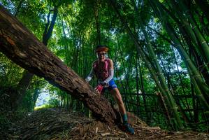 BIB: 
                            <button type="button" onclick="openModal(18997508)" class="btn btn-primary btn-sm float-right btn-popup" data-toggle="modal" data-target=".modal-high-quality">
                        <i class="fas fa-shopping-cart"></i> Add to Cart
                    </button>
                                            <button type="button" onclick="isThisMe(18997508, true)" class="btn btn-success btn-sm float-right btn-popup btn-isme hidden" data-toggle="tooltip" data-placement="bottom" title="นี่คือรูปของคุณใช่ไหม คลิกที่นี่เพื่อเอาเข้าอัลบั้ม">
                        <i class="fas fa-plus"></i> Add to album
                    </button>
                    <button type="button" onclick="isThisMe(18997508, false)" class="btn btn-warning btn-sm float-right btn-popup btn-isnotme hidden">
                        <i class="fas fa-ban"></i> Remove from album
                    </button>