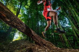 BIB: 
                            <button type="button" onclick="openModal(18987653)" class="btn btn-primary btn-sm float-right btn-popup" data-toggle="modal" data-target=".modal-high-quality">
                        <i class="fas fa-shopping-cart"></i> Add to Cart
                    </button>
                                            <button type="button" onclick="isThisMe(18987653, true)" class="btn btn-success btn-sm float-right btn-popup btn-isme hidden" data-toggle="tooltip" data-placement="bottom" title="นี่คือรูปของคุณใช่ไหม คลิกที่นี่เพื่อเอาเข้าอัลบั้ม">
                        <i class="fas fa-plus"></i> Add to album
                    </button>
                    <button type="button" onclick="isThisMe(18987653, false)" class="btn btn-warning btn-sm float-right btn-popup btn-isnotme hidden">
                        <i class="fas fa-ban"></i> Remove from album
                    </button>