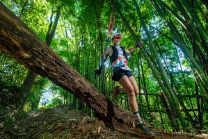 BIB: 
                            <button type="button" onclick="openModal(19062061)" class="btn btn-primary btn-sm float-right btn-popup" data-toggle="modal" data-target=".modal-high-quality">
                        <i class="fas fa-shopping-cart"></i> Add to Cart
                    </button>
                                            <button type="button" onclick="isThisMe(19062061, true)" class="btn btn-success btn-sm float-right btn-popup btn-isme hidden" data-toggle="tooltip" data-placement="bottom" title="นี่คือรูปของคุณใช่ไหม คลิกที่นี่เพื่อเอาเข้าอัลบั้ม">
                        <i class="fas fa-plus"></i> Add to album
                    </button>
                    <button type="button" onclick="isThisMe(19062061, false)" class="btn btn-warning btn-sm float-right btn-popup btn-isnotme hidden">
                        <i class="fas fa-ban"></i> Remove from album
                    </button>