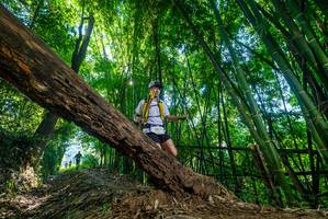 BIB: 
                            <button type="button" onclick="openModal(19046251)" class="btn btn-primary btn-sm float-right btn-popup" data-toggle="modal" data-target=".modal-high-quality">
                        <i class="fas fa-shopping-cart"></i> Add to Cart
                    </button>
                                            <button type="button" onclick="isThisMe(19046251, true)" class="btn btn-success btn-sm float-right btn-popup btn-isme hidden" data-toggle="tooltip" data-placement="bottom" title="นี่คือรูปของคุณใช่ไหม คลิกที่นี่เพื่อเอาเข้าอัลบั้ม">
                        <i class="fas fa-plus"></i> Add to album
                    </button>
                    <button type="button" onclick="isThisMe(19046251, false)" class="btn btn-warning btn-sm float-right btn-popup btn-isnotme hidden">
                        <i class="fas fa-ban"></i> Remove from album
                    </button>