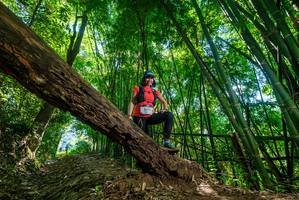 BIB: 
                            <button type="button" onclick="openModal(19067790)" class="btn btn-primary btn-sm float-right btn-popup" data-toggle="modal" data-target=".modal-high-quality">
                        <i class="fas fa-shopping-cart"></i> Add to Cart
                    </button>
                                            <button type="button" onclick="isThisMe(19067790, true)" class="btn btn-success btn-sm float-right btn-popup btn-isme hidden" data-toggle="tooltip" data-placement="bottom" title="นี่คือรูปของคุณใช่ไหม คลิกที่นี่เพื่อเอาเข้าอัลบั้ม">
                        <i class="fas fa-plus"></i> Add to album
                    </button>
                    <button type="button" onclick="isThisMe(19067790, false)" class="btn btn-warning btn-sm float-right btn-popup btn-isnotme hidden">
                        <i class="fas fa-ban"></i> Remove from album
                    </button>