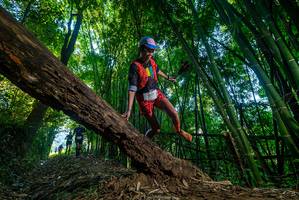 BIB: 2177, 135007
                            <button type="button" onclick="openModal(18992270)" class="btn btn-primary btn-sm float-right btn-popup" data-toggle="modal" data-target=".modal-high-quality">
                        <i class="fas fa-shopping-cart"></i> Add to Cart
                    </button>
                                            <button type="button" onclick="isThisMe(18992270, true)" class="btn btn-success btn-sm float-right btn-popup btn-isme hidden" data-toggle="tooltip" data-placement="bottom" title="นี่คือรูปของคุณใช่ไหม คลิกที่นี่เพื่อเอาเข้าอัลบั้ม">
                        <i class="fas fa-plus"></i> Add to album
                    </button>
                    <button type="button" onclick="isThisMe(18992270, false)" class="btn btn-warning btn-sm float-right btn-popup btn-isnotme hidden">
                        <i class="fas fa-ban"></i> Remove from album
                    </button>