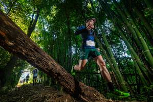 BIB: 2901
                            <button type="button" onclick="openModal(18987361)" class="btn btn-primary btn-sm float-right btn-popup" data-toggle="modal" data-target=".modal-high-quality">
                        <i class="fas fa-shopping-cart"></i> Add to Cart
                    </button>
                                            <button type="button" onclick="isThisMe(18987361, true)" class="btn btn-success btn-sm float-right btn-popup btn-isme hidden" data-toggle="tooltip" data-placement="bottom" title="นี่คือรูปของคุณใช่ไหม คลิกที่นี่เพื่อเอาเข้าอัลบั้ม">
                        <i class="fas fa-plus"></i> Add to album
                    </button>
                    <button type="button" onclick="isThisMe(18987361, false)" class="btn btn-warning btn-sm float-right btn-popup btn-isnotme hidden">
                        <i class="fas fa-ban"></i> Remove from album
                    </button>