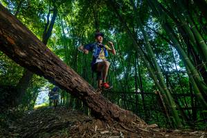 BIB: 
                            <button type="button" onclick="openModal(18993463)" class="btn btn-primary btn-sm float-right btn-popup" data-toggle="modal" data-target=".modal-high-quality">
                        <i class="fas fa-shopping-cart"></i> Add to Cart
                    </button>
                                            <button type="button" onclick="isThisMe(18993463, true)" class="btn btn-success btn-sm float-right btn-popup btn-isme hidden" data-toggle="tooltip" data-placement="bottom" title="นี่คือรูปของคุณใช่ไหม คลิกที่นี่เพื่อเอาเข้าอัลบั้ม">
                        <i class="fas fa-plus"></i> Add to album
                    </button>
                    <button type="button" onclick="isThisMe(18993463, false)" class="btn btn-warning btn-sm float-right btn-popup btn-isnotme hidden">
                        <i class="fas fa-ban"></i> Remove from album
                    </button>