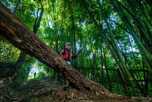 BIB: 
                            <button type="button" onclick="openModal(18995220)" class="btn btn-primary btn-sm float-right btn-popup" data-toggle="modal" data-target=".modal-high-quality">
                        <i class="fas fa-shopping-cart"></i> Add to Cart
                    </button>
                                            <button type="button" onclick="isThisMe(18995220, true)" class="btn btn-success btn-sm float-right btn-popup btn-isme hidden" data-toggle="tooltip" data-placement="bottom" title="นี่คือรูปของคุณใช่ไหม คลิกที่นี่เพื่อเอาเข้าอัลบั้ม">
                        <i class="fas fa-plus"></i> Add to album
                    </button>
                    <button type="button" onclick="isThisMe(18995220, false)" class="btn btn-warning btn-sm float-right btn-popup btn-isnotme hidden">
                        <i class="fas fa-ban"></i> Remove from album
                    </button>