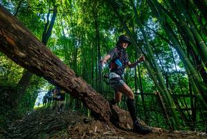 BIB: 
                            <button type="button" onclick="openModal(18999672)" class="btn btn-primary btn-sm float-right btn-popup" data-toggle="modal" data-target=".modal-high-quality">
                        <i class="fas fa-shopping-cart"></i> Add to Cart
                    </button>
                                            <button type="button" onclick="isThisMe(18999672, true)" class="btn btn-success btn-sm float-right btn-popup btn-isme hidden" data-toggle="tooltip" data-placement="bottom" title="นี่คือรูปของคุณใช่ไหม คลิกที่นี่เพื่อเอาเข้าอัลบั้ม">
                        <i class="fas fa-plus"></i> Add to album
                    </button>
                    <button type="button" onclick="isThisMe(18999672, false)" class="btn btn-warning btn-sm float-right btn-popup btn-isnotme hidden">
                        <i class="fas fa-ban"></i> Remove from album
                    </button>