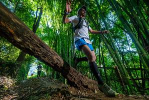 BIB: 
                            <button type="button" onclick="openModal(19001018)" class="btn btn-primary btn-sm float-right btn-popup" data-toggle="modal" data-target=".modal-high-quality">
                        <i class="fas fa-shopping-cart"></i> Add to Cart
                    </button>
                                            <button type="button" onclick="isThisMe(19001018, true)" class="btn btn-success btn-sm float-right btn-popup btn-isme hidden" data-toggle="tooltip" data-placement="bottom" title="นี่คือรูปของคุณใช่ไหม คลิกที่นี่เพื่อเอาเข้าอัลบั้ม">
                        <i class="fas fa-plus"></i> Add to album
                    </button>
                    <button type="button" onclick="isThisMe(19001018, false)" class="btn btn-warning btn-sm float-right btn-popup btn-isnotme hidden">
                        <i class="fas fa-ban"></i> Remove from album
                    </button>